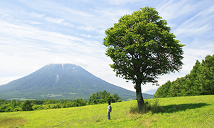 リサイクル